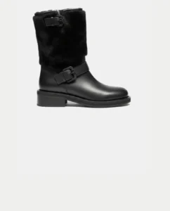 ROBERTO FESTA PALIMA